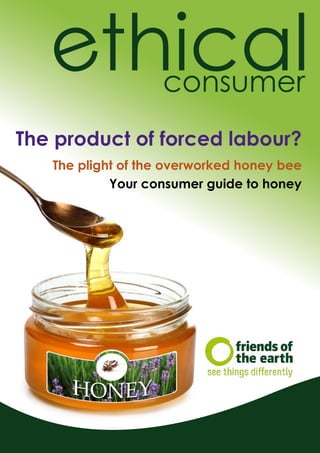 The plight of the overworked honey bee
Your consumer guide to honey
The product of forced labour?
 