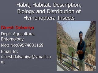 Habit, Habitat, Description,
       Biology and Distribution of
          Hymenoptera Insects
Dinesh Dalvaniya
Dept: Agricultural
Entomology
Mob No:09574031169
Email Id:
dineshdalvaniya@ymail.co
m
 