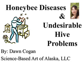 By: Dawn Cogan
Science-Based Art of Alaska, LLC
&
Undesirable
Hive
Problems
 