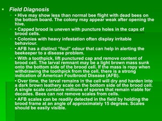 honeybee diseases.ppt
