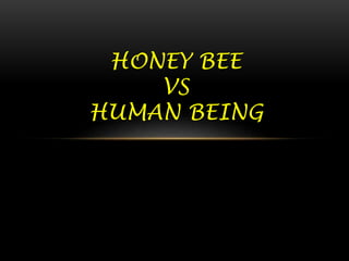 HONEY BEE
VS
HUMAN BEING
 