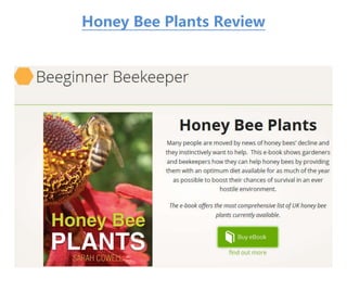Honey Bee Plants Review
 