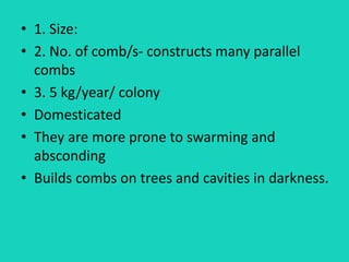 • 1. Size:
• 2. No. of comb/s- constructs many parallel
combs
• 3. 5 kg/year/ colony
• Domesticated
• They are more prone to swarming and
absconding
• Builds combs on trees and cavities in darkness.
 