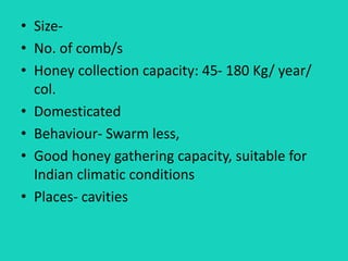 • Size-
• No. of comb/s
• Honey collection capacity: 45- 180 Kg/ year/
col.
• Domesticated
• Behaviour- Swarm less,
• Good honey gathering capacity, suitable for
Indian climatic conditions
• Places- cavities
 
