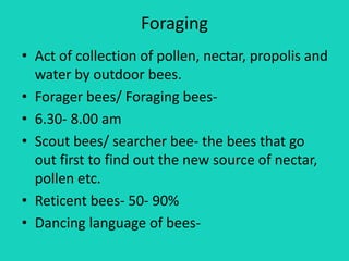 Foraging
• Act of collection of pollen, nectar, propolis and
water by outdoor bees.
• Forager bees/ Foraging bees-
• 6.30- 8.00 am
• Scout bees/ searcher bee- the bees that go
out first to find out the new source of nectar,
pollen etc.
• Reticent bees- 50- 90%
• Dancing language of bees-
 
