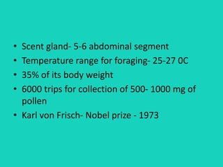 • Scent gland- 5-6 abdominal segment
• Temperature range for foraging- 25-27 0C
• 35% of its body weight
• 6000 trips for collection of 500- 1000 mg of
pollen
• Karl von Frisch- Nobel prize - 1973
 