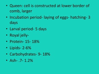 • Queen: cell is constructed at lower border of
comb, larger
• Incubation period- laying of eggs- hatching- 3
days
• Larval period- 5 days
• Royal jelly-
• Protein- 15- 18%
• Lipids- 2-6%
• Carbohydrates- 9- 18%
• Ash- .7- 1.2%
 