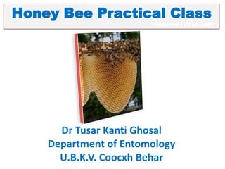 Honey Bee Practical Class
Published : 27.07.2021
Dr Tusar Kanti Ghosal
Department of Entomology
U.B.K.V. Coocxh Behar
 