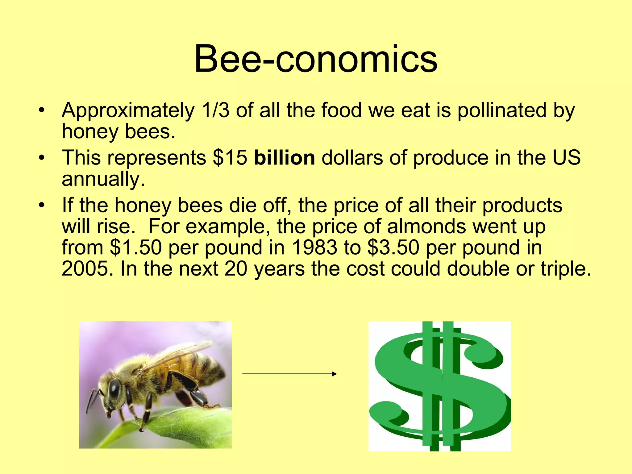 Bee-conomics Approximately 1/3 of all the food we eat is pollinated by honey bees. This represents $15  billion  dollars of produce in the US annually. If the honey bees die off, the price of all their products will rise.  For example, the price of almonds went up from $1.50 per pound in 1983 to $3.50 per pound in 2005. In the next 20 years the cost could double or triple. 