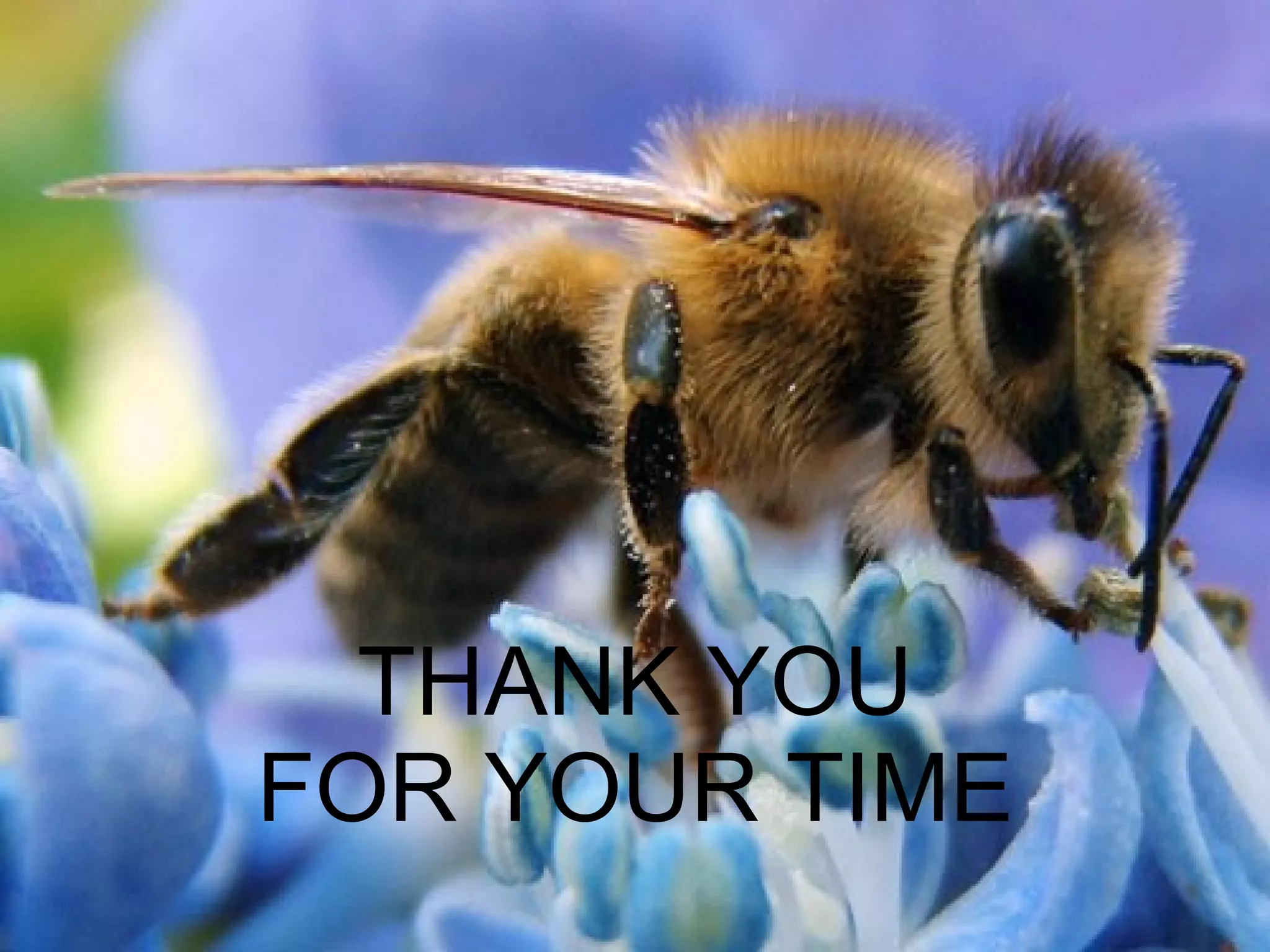 THANK YOU FOR YOUR TIME 