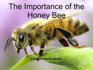 The Importance of the Honey Bee Unattributed Middle Schooler 