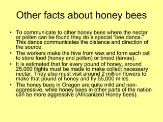 Other facts about honey bees To communicate to other honey bees where the nectar or pollen can be found they do a special “bee dance.”  This dance communicates the distance and direction of the source. The workers make the hive from wax and form each cell to store food (honey and pollen) or brood (larvae). It is estimated that for every pound of honey, around 25,000 flights must be made to make collect necessary nectar. They also must visit around 2 million flowers to make that pound of honey and fly 55,000 miles. The honey bees in Oregon are quite mild and non-aggressive, while honey bees in other parts of the nation can be more aggressive (Africanized Honey bees). 