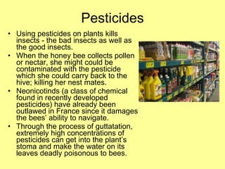 Pesticides Using pesticides on plants kills insects - the bad insects as well as the good insects. When the honey bee collects pollen or nectar, she might could be contaminated with the pesticide which she could carry back to the hive; killing her nest mates. Neonicotinds (a class of chemical found in recently developed pesticides) have already been outlawed in France since it damages the bees’ ability to navigate. Through the process of guttatation, extremely high concentrations of pesticides can get into the plant’s stoma and make the water on its leaves deadly poisonous to bees. 