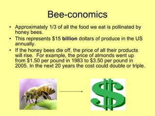 Bee-conomics Approximately 1/3 of all the food we eat is pollinated by honey bees. This represents $15  billion  dollars of produce in the US annually. If the honey bees die off, the price of all their products will rise.  For example, the price of almonds went up from $1.50 per pound in 1983 to $3.50 per pound in 2005. In the next 20 years the cost could double or triple. 