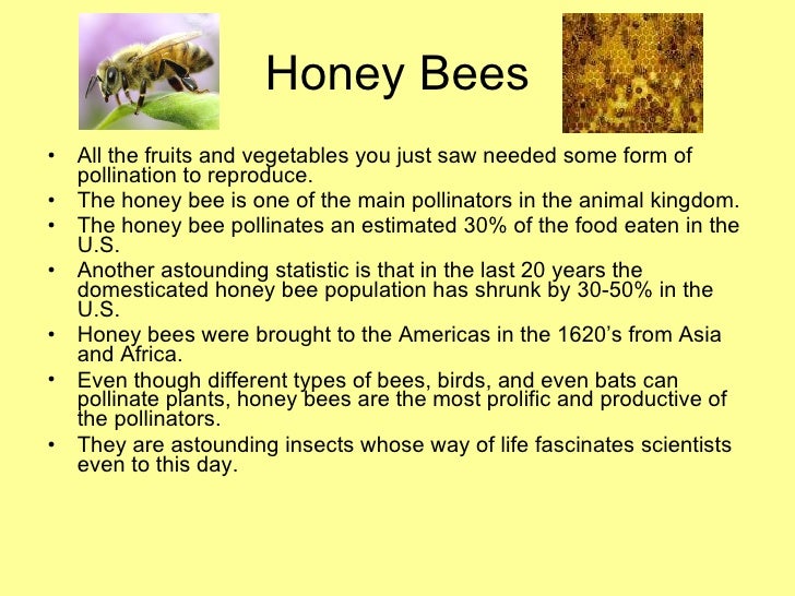 Beekeeping Information