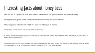 Interesting facts about honey bees
One bee has to fly about 90,000 miles – three times around the globe – to make one pound of honey.
Honey bees must gather nectar from two million flowers to make one pound of honey.
The average bee will make only 1/12th of a teaspoon of honey in its lifetime.
Honey bees communicate with one another by dancing.
A colony of bees consists of 20,000-60,000 honey bees and one queen. Worker honey bees are female, live for about 6
weeks and do all the work.
The queen bee can live up to 5 years and is the only bee that lays eggs. She is the busiest in the summer months, when
the hive needs to be at its maximum strength, and lays up to 2500 eggs per day.
 