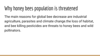 Why honey bees population is threatened
The main reasons for global bee decrease are industrial
agriculture, parasites and climate change.the loss of habitat,
and bee killing pesticides are threats to honey bees and wild
pollinators.
 