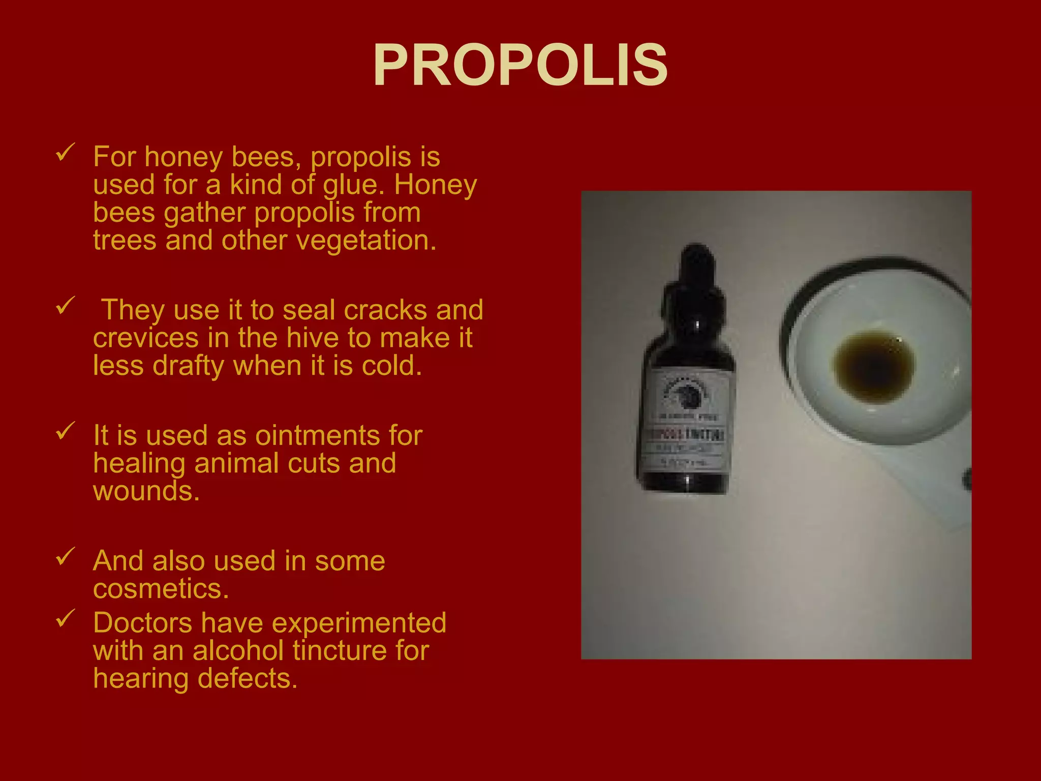 PROPOLIS For honey bees, propolis is used for a kind of glue. Honey bees gather propolis from trees and other vegetation. They use it to seal cracks and crevices in the hive to make it less drafty when it is cold.  It is used as ointments for healing animal cuts and wounds.   And also used in some cosmetics. Doctors have experimented with an alcohol tincture for hearing defects .  