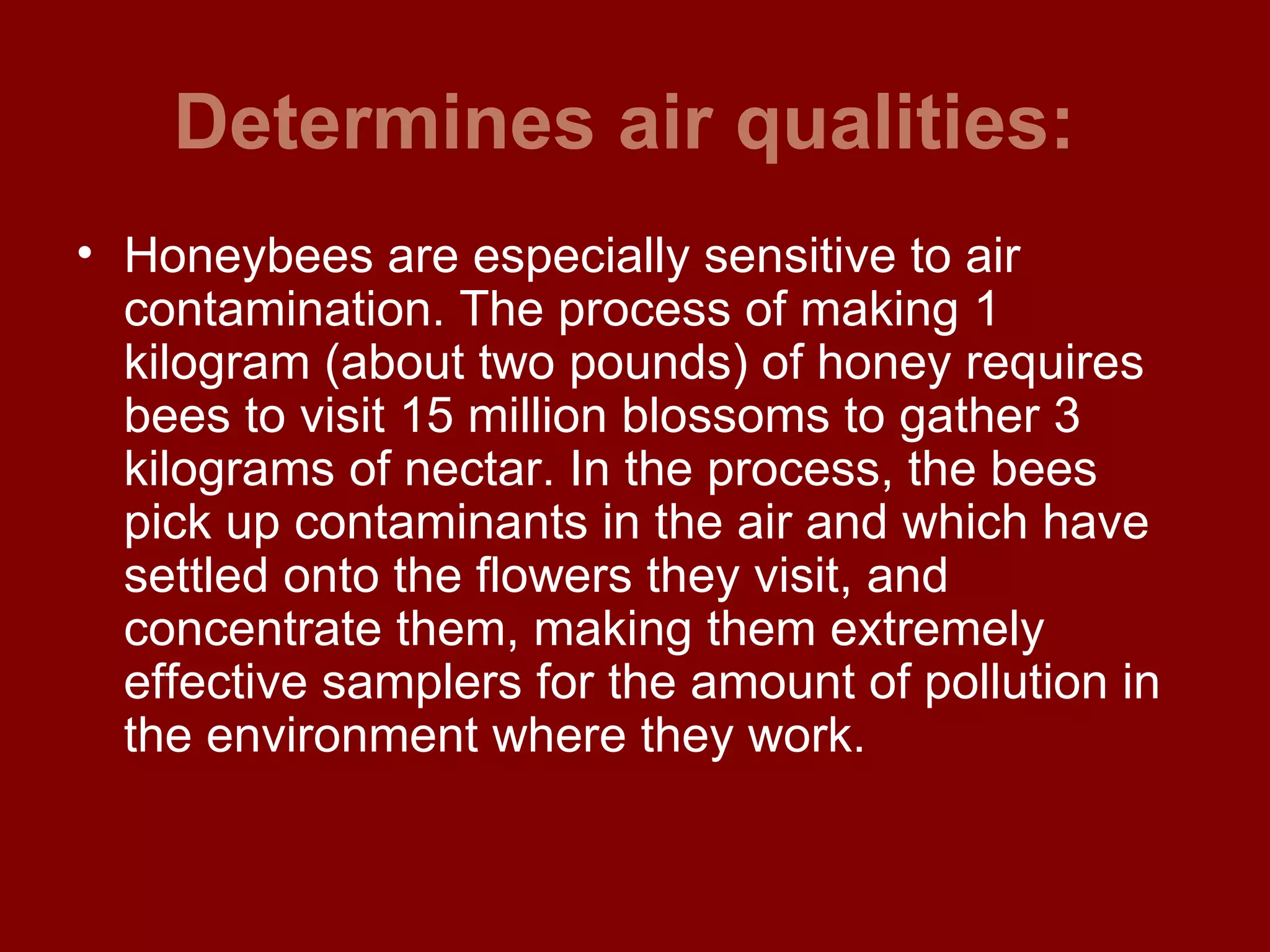 Determines air qualities:   Honeybees are especially sensitive to air contamination. The process of making 1 kilogram (about two pounds) of honey requires bees to visit 15 million blossoms to gather 3 kilograms of nectar. In the process, the bees pick up contaminants in the air and which have settled onto the flowers they visit, and concentrate them, making them extremely effective samplers for the amount of pollution in the environment where they work.  