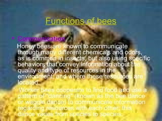 Functions of bees Communication Honey bees are known to communicate through many different chemicals and odors, as is common in insects, but also using specific behaviors that convey information about the quality and type of resources in the environment, and where these resources are located. Worker bees cooperate to find food and use a pattern of "dancing" (known as the bee dance or waggle dance) to communicate information regarding resources with each other; this dance varies from species to species.  