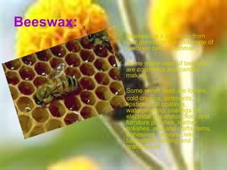 Beeswax: Beeswax is a secretion from four glands on the underside of a worker bees’ abdomen Some major uses of beeswax are cosmetics and candle making.  Some minor uses are lotions, cold creams, ointments, lipsticks, pill coatings, waterproofing, coatings for electrical apparatus, floor and furniture polishes, leather polishes, arts and crafts items, adhesives, crayons, inks, basketball molding and grafting wax 