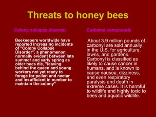 Threats to honey bees Colony collapse disorder   Beekeepers worldwide have reported increasing incidents of "Colony Collapse Disorder", a phenomenon normally evident between late summer and early spring as older bees die, "leaving behind the queen and young workers not yet ready to forage for pollen and nectar and insufficient in number to maintain the colony"   Carbonyl compounds About 3.9 million pounds of carbonyl are sold annually in the U.S. for agriculture, lawns, and gardens. Carbonyl is classified as likely to cause cancer in humans, and is known to cause nausea, dizziness, and even respiratory paralysis and death in extreme cases. It is harmful to wildlife and highly toxic to bees and aquatic wildlife.  