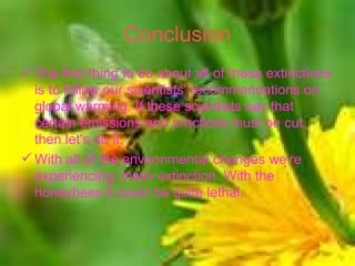 Conclusion The first thing to do about all of these extinctions is to follow our scientists' recommendations on global warming. If these scientists say that certain emissions and practices must be cut, then let's do it.  With all of the environmental changes we're experiencing, mass extinction .With the honeybees it could be quite lethal.  