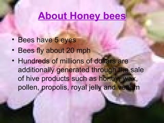 About Honey bees Bees have 5 eyes  Bees fly about 20 mph  Hundreds of millions of dollars are additionally generated through the sale of hive products such as honey, wax, pollen, propolis, royal jelly and venom 