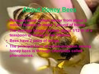About Honey Bees Foragers must collect nectar from about 2 million flowers to make 1 pound of honey.  The average forager makes about 1/12 th of a teaspoon of honey in her lifetime. Bees have 2 pairs of wings.  The principal form of communication among honey bees is through chemicals called pheromones.  