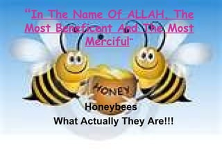 “ In The Name Of ALLAH, The Most Beneficent And The Most Merciful ” Honeybees What Actually They Are!!! 