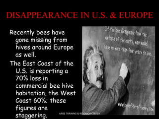 DISAPPEARANCE IN U.S. & EUROPE 
Recently bees have 
gone missing from 
hives around Europe 
as well. 
The East Coast of the 
U.S. is reporting a 
70% loss in 
commercial bee hive 
habitation, the West 
Coast 60%; these 
figures are 
staggering. ARISE TRAINING & RESEARCH CENTER 
 