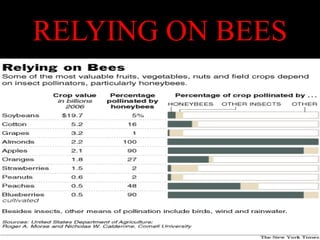 RELYING ON BEES 
ARISE TRAINING & RESEARCH CENTER 
 