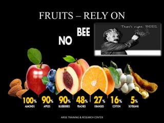 FRUITS – RELY ON 
ARISE TRAINING & RESEARCH CENTER 
 