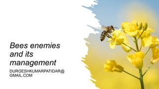 Bees enemies
and its
management
DURGESHKUMARPATIDAR@
GMAIL.COM
 