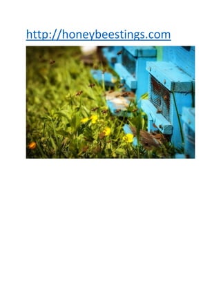 http://honeybeestings.com
 