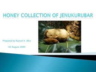 Honey Collection of Jenukurubar Prepared by Rayson K. Alex 02 August 2009 