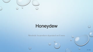 Honeydew
Metabolic by-products deposited on Cotton
It’s Sk’s
 