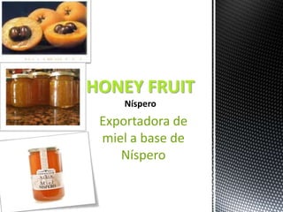 HONEY FRUIT
 Exportadora de
 miel a base de
    Níspero
 
