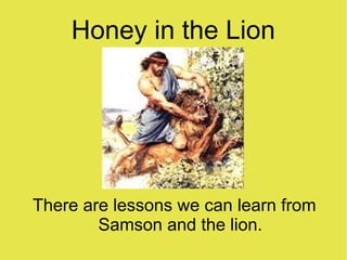Honey in the Lion

There are lessons we can learn from
Samson and the lion.

 