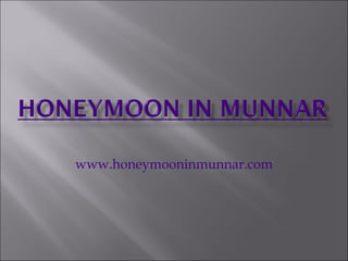 www.honeymooninmunnar.com 