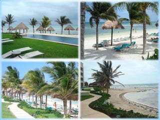 To satisfy those sudden afternoon cravings (for food!), our Gourmet Corners are the answer. Enjoy pizza fresh from a wood-fired oven at La Cabaña Pizzeria