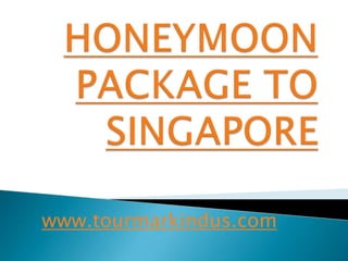 HONEYMOON PACKAGE TO SINGAPORE www.tourmarkindus.com 
