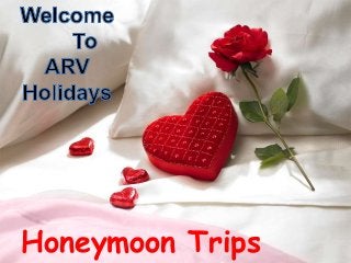 Honeymoon Trips

 