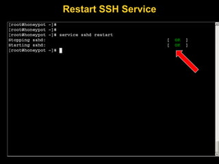 Restart SSH Service
 