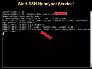 Start SSH Honeypot Service!
 