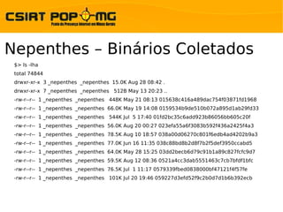 Nepenthes – Binários Coletados
 $> ls -lha
 total 74844
 drwxr-xr-x 3 _nepenthes _nepenthes 15.0K Aug 28 08:42 .
 drwxr-xr-x 7 _nepenthes _nepenthes 512B May 13 20:23 ..
 -rw-r--r-- 1 _nepenthes _nepenthes 448K May 21 08:13 015638c416a489dac754f03871fd1968
 -rw-r--r-- 1 _nepenthes _nepenthes 66.0K May 19 14:08 0159534b9de510b072a895d1ab29fd33
 -rw-r--r-- 1 _nepenthes _nepenthes 544K Jul 5 17:40 01fd2bc35c6add923b86056bb605c20f
 -rw-r--r-- 1 _nepenthes _nepenthes 56.0K Aug 20 00:27 023efa55a6f3083b592f436a2425f4a3
 -rw-r--r-- 1 _nepenthes _nepenthes 78.5K Aug 10 18:57 038a00d06270c801f6edb4ad4202b9a3
 -rw-r--r-- 1 _nepenthes _nepenthes 77.0K Jun 16 11:35 038c88bd8b2d8f7b2f5def3950ccabd5
 -rw-r--r-- 1 _nepenthes _nepenthes 64.0K May 28 15:25 03dd2becb6d79c91b1a89c827fcfc9d7
 -rw-r--r-- 1 _nepenthes _nepenthes 59.5K Aug 12 08:36 0521a4cc3dab5551463c7cb7bfdf1bfc
 -rw-r--r-- 1 _nepenthes _nepenthes 76.5K Jul 1 11:17 0579339fbed0838000bf47121f4f57fe
 -rw-r--r-- 1 _nepenthes _nepenthes 101K Jul 20 19:46 059227d3efd52f9c2b0d7d1b6b392ecb
 