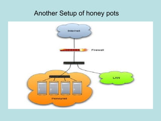 Another Setup of honey pots
 