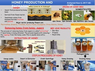 HONEY PRODUCTION AND
PACKAGING
Arshpreet Kaur (L-2K17-AE-
10-BIV)
HONEY
• Sweet fluid produced by honey
bees.
• Derived from flower nectar.
• Sweetness comes from
monosaccharides fructose
and glucose Apis florea Apis Dorsata Apis Mellifera Apis Cerana
SPECIES OF HONEY BEES
WILD DOMESTICATED
Major nectar producing flowers are
Plectranthus, Brassica, Trifolium, Acacia, Prunus, Eucalyptus, Citrus, Robinia, Kinnow
Removing honey from honey supers
The process of removing honey from supers is called“extracting”
the cappings from the honey comb.This is usually done with a
knife.
Uncap combs Draining Honey
STEPSIN PROCESSING OFHONEY
Insert in Extractor Crank Centrifuge Honey Draining
EXTRACTION OF HONEY
Packaged Honey
BEE HIVE PRODUCTS
• Bee Wax
if liquid honey is being obtained. The process begins with removing • Propolis
• Royal Jelly
 