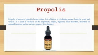 Propolis
Propolis is brown to greenish-brown colour. It is effective in combating mould, bacteria, yeast and
viruses. It is used in diseases of the respiratory organs, digestive tract disorders, disorders of
gonadal function and the various types of skin diseases.
http://www.images-iherb.com/l/YSO-91201-5.jpg
 