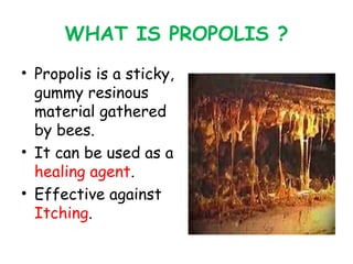 Honey proessing | PPT